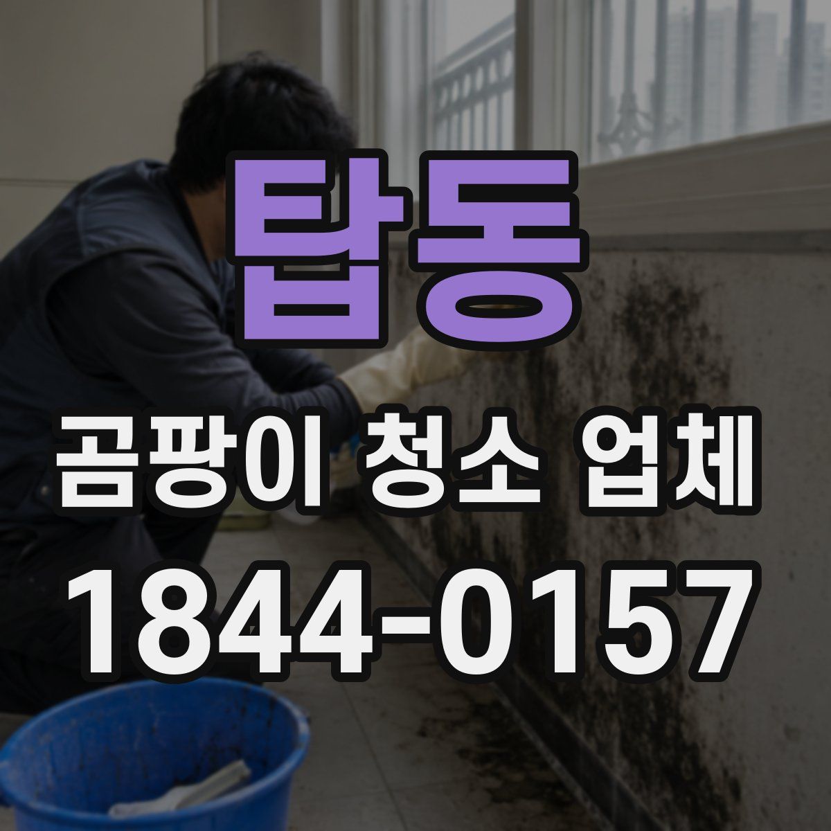 탑동 곰팡이 청소 업체