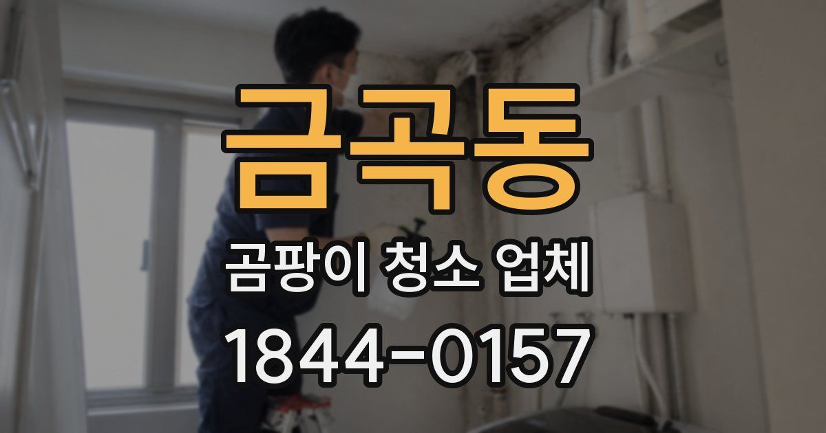 금곡동 곰팡이 청소 업체