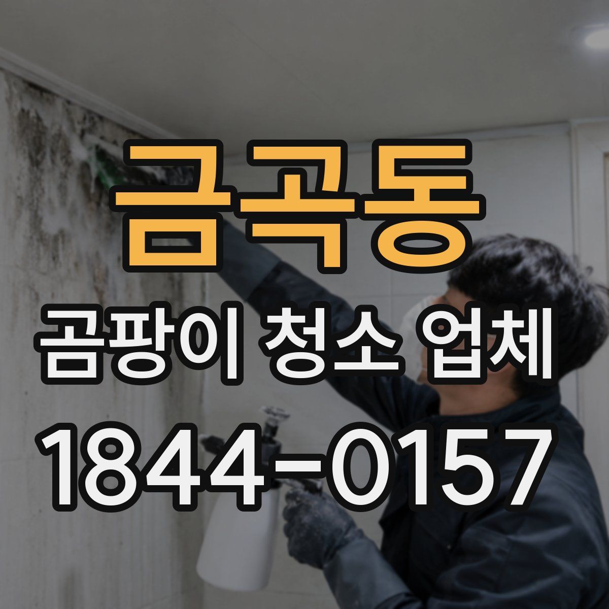 금곡동 곰팡이 청소 업체