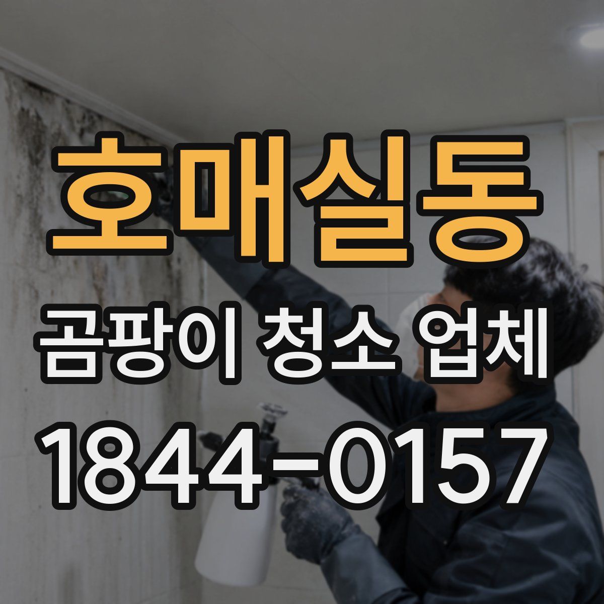 호매실동 곰팡이 청소 업체