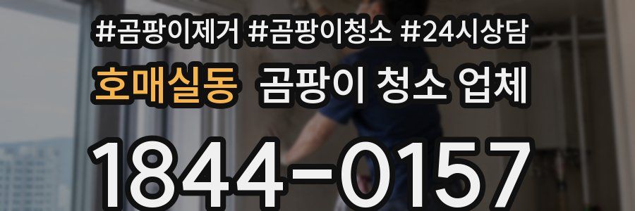 호매실동 곰팡이 청소 업체