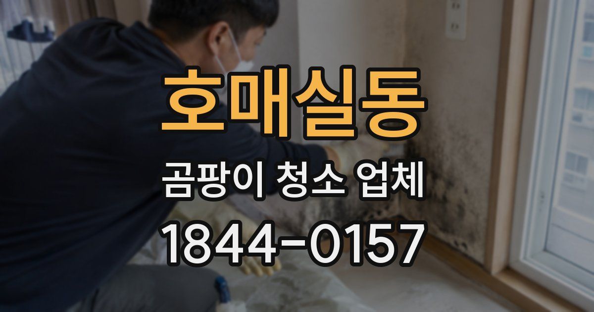 호매실동 곰팡이 청소 업체