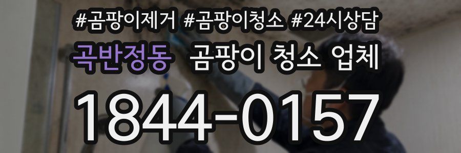 곡반정동 곰팡이 청소 업체
