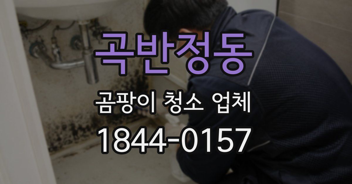 곡반정동 곰팡이 청소 업체