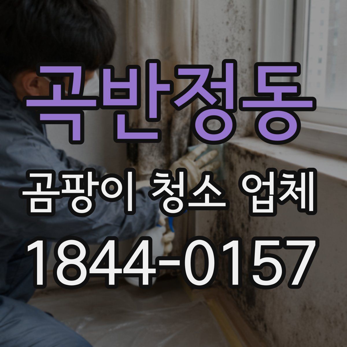 곡반정동 곰팡이 청소 업체