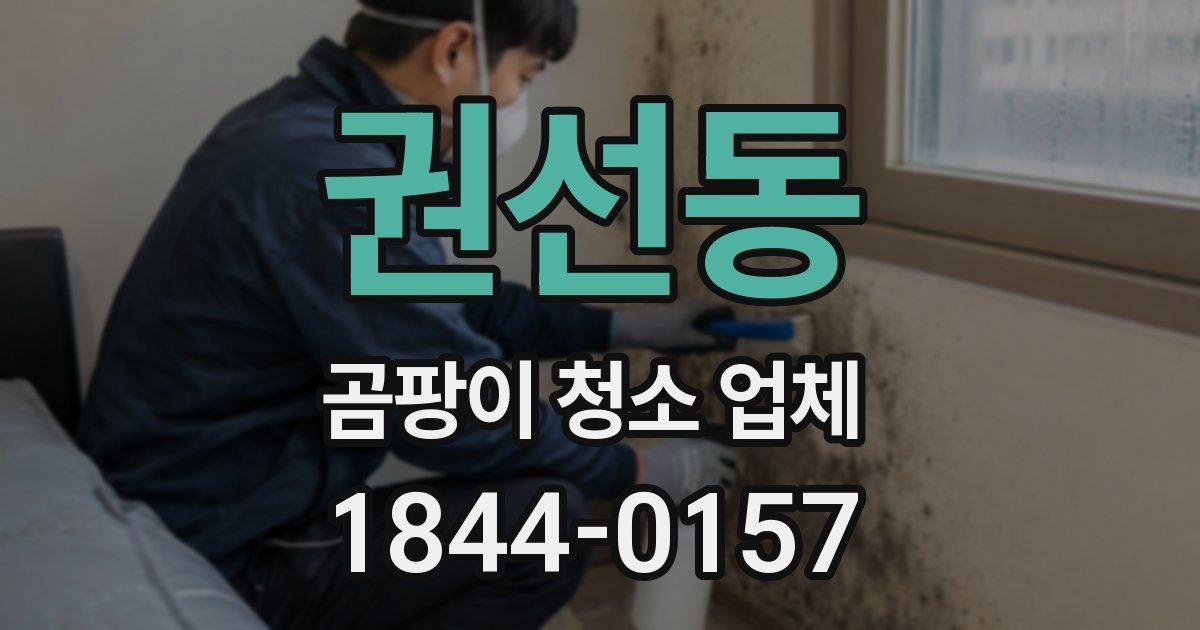 권선동 곰팡이 청소 업체