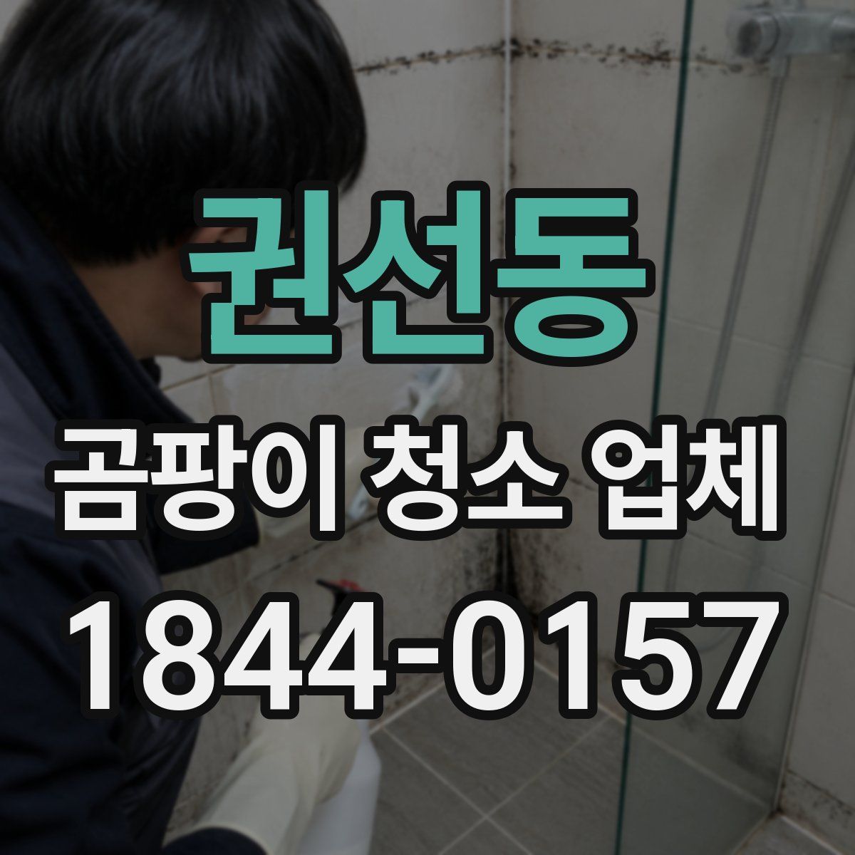 권선동 곰팡이 청소 업체