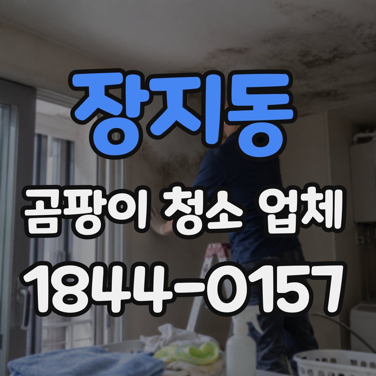 장지동 곰팡이 청소 업체