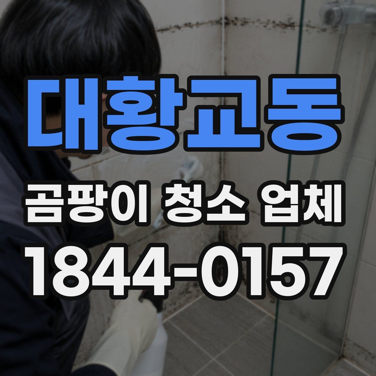 대황교동 곰팡이 청소 업체 장마철 습도 높을 때 대비하는 실내 관리