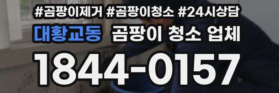 대황교동 곰팡이 청소 업체