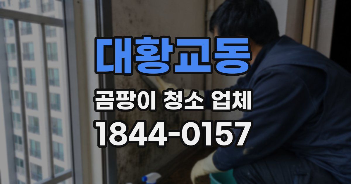 대황교동 곰팡이 청소 업체