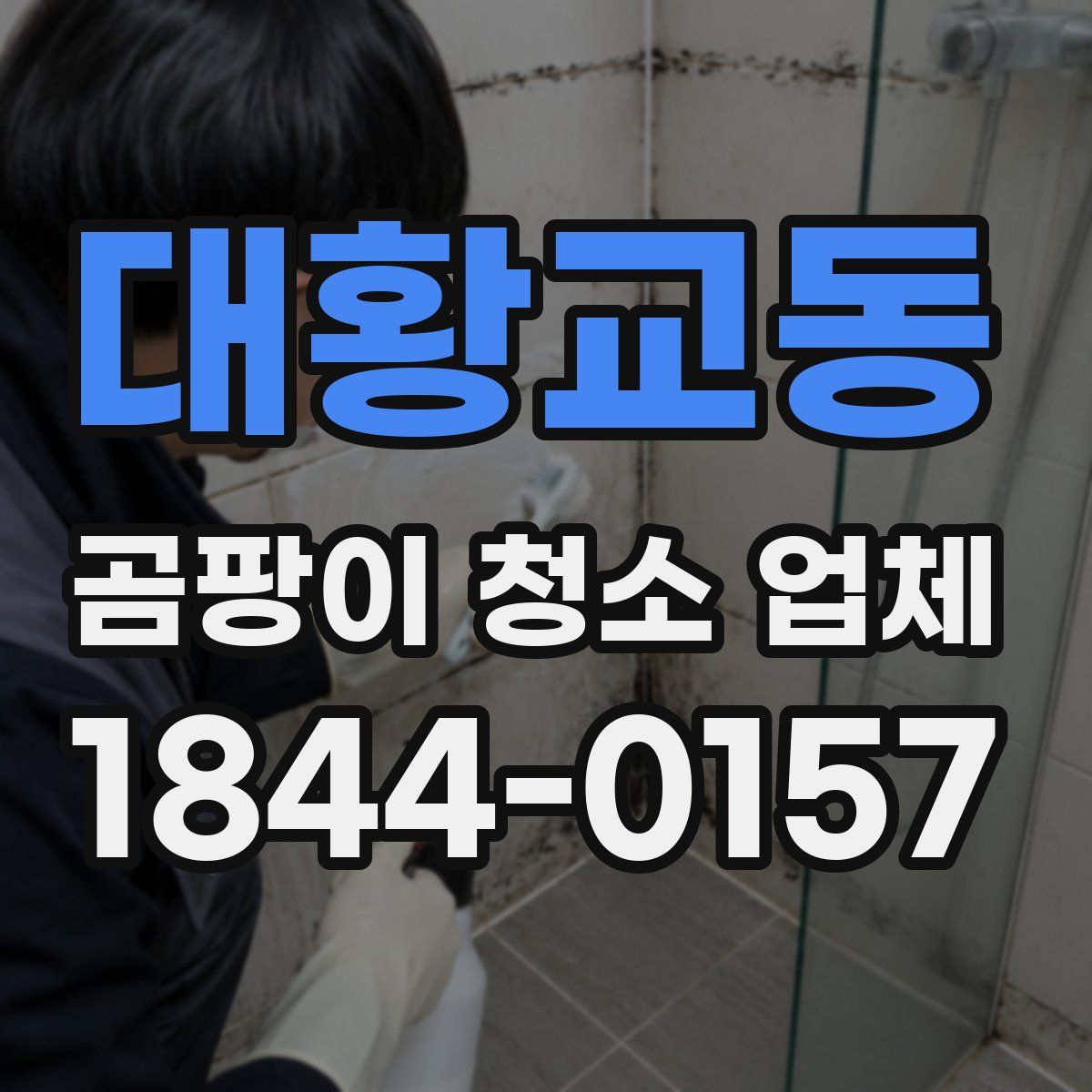 대황교동 곰팡이 청소 업체