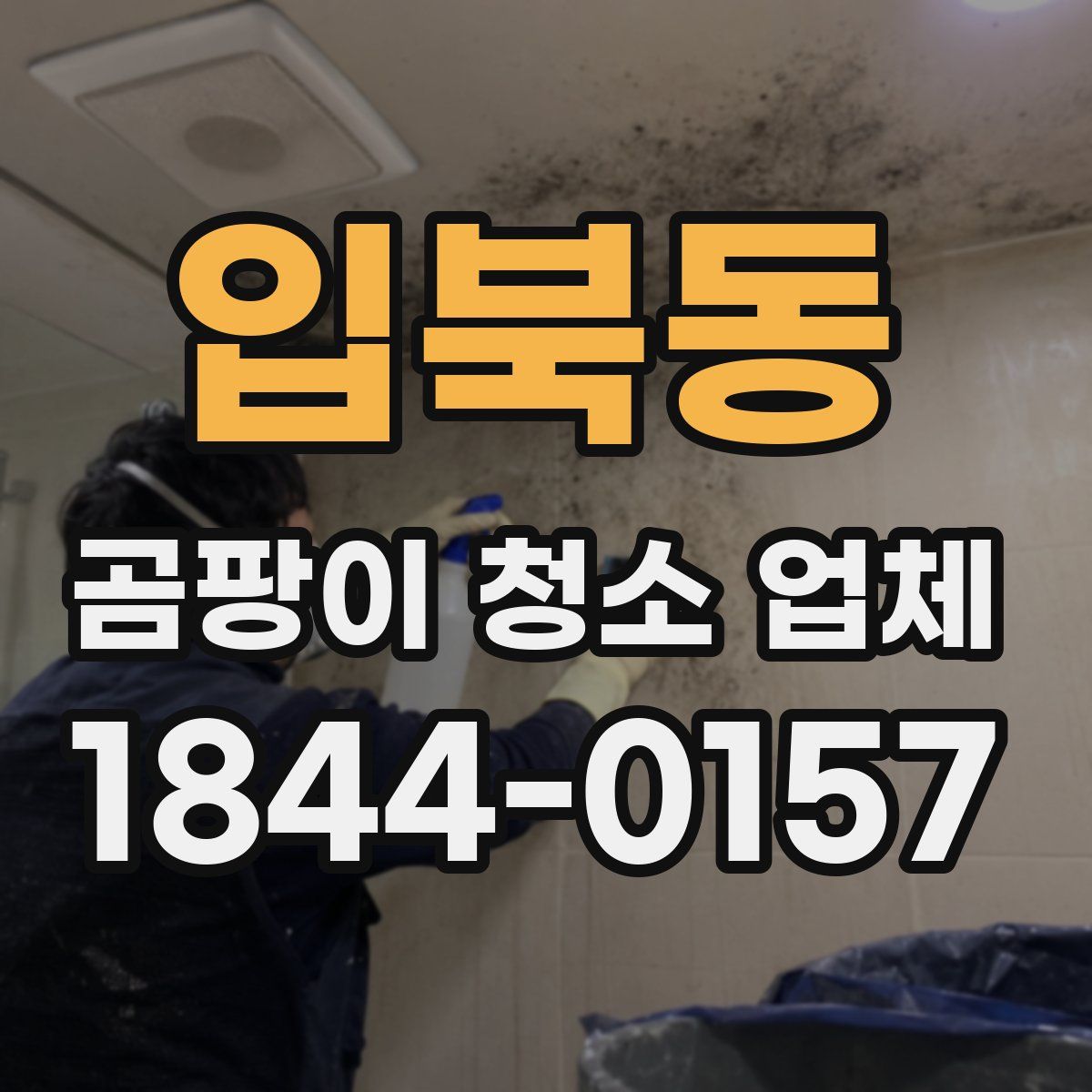 입북동 곰팡이 청소 업체
