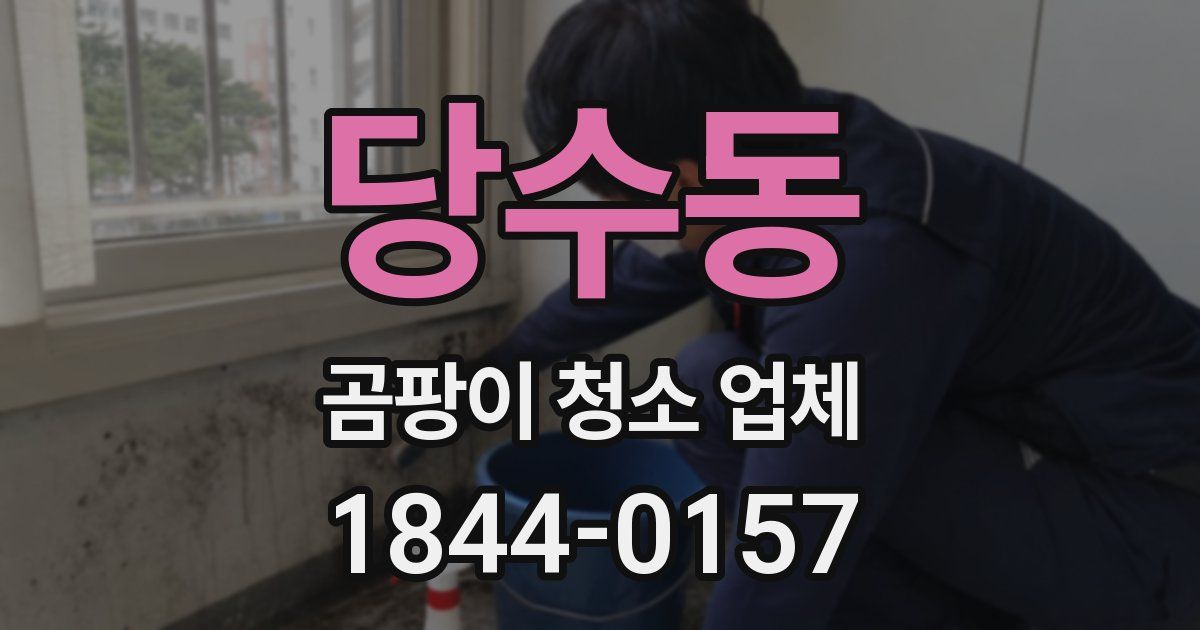 당수동 곰팡이 청소 업체