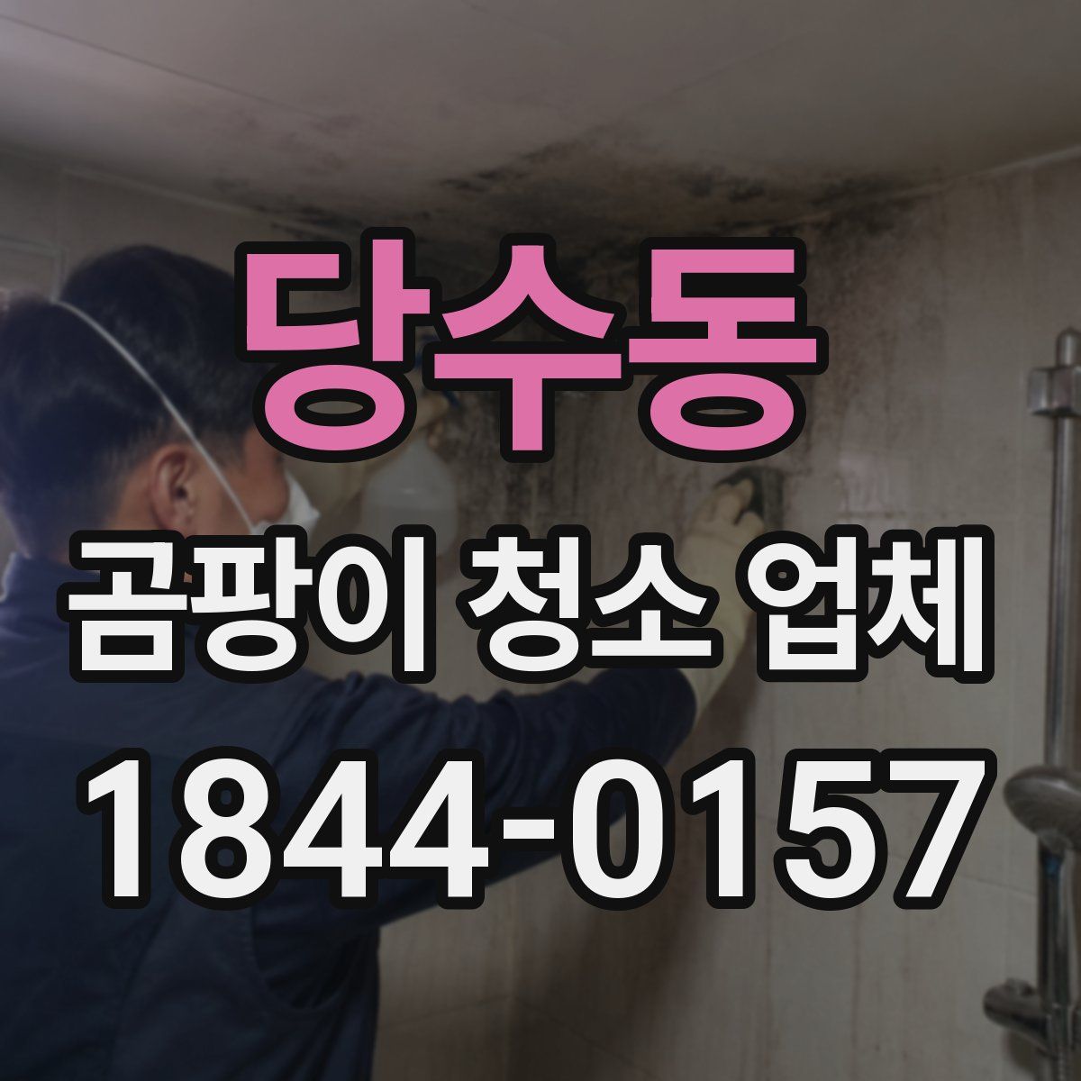 당수동 곰팡이 청소 업체