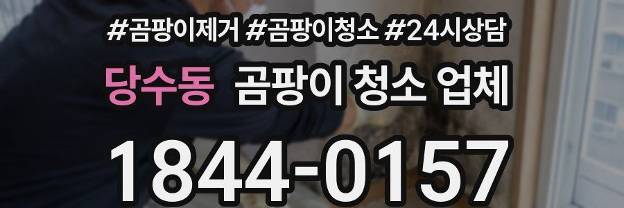 당수동 곰팡이 청소 업체