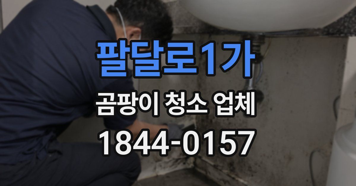 팔달로1가 곰팡이 청소 업체