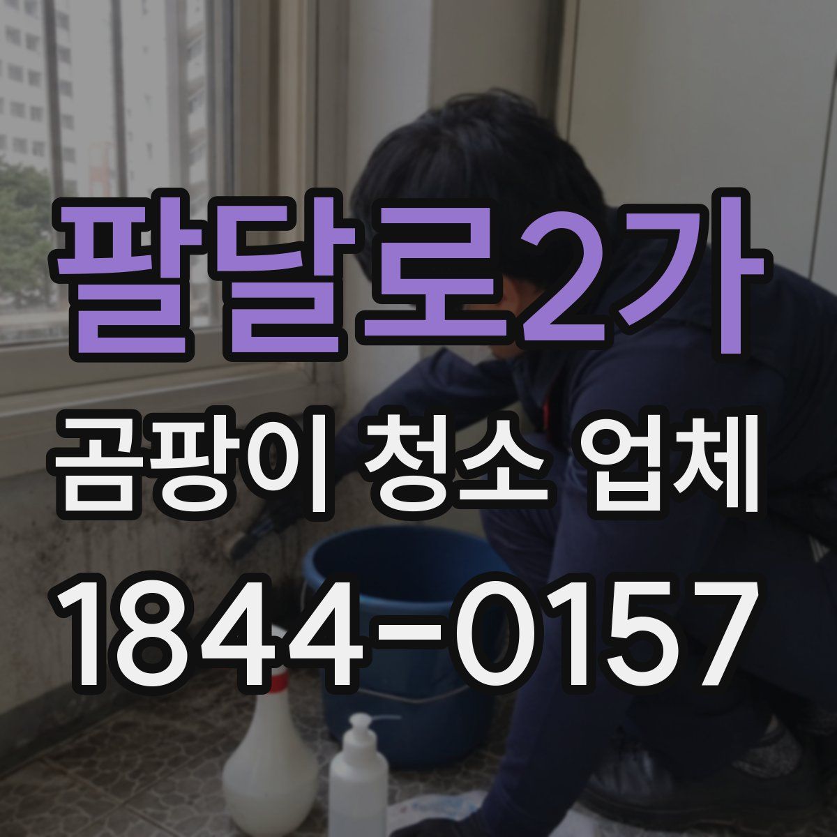 팔달로2가 곰팡이 청소 업체