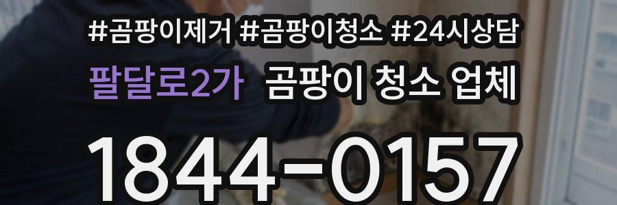 팔달로2가 곰팡이 청소 업체