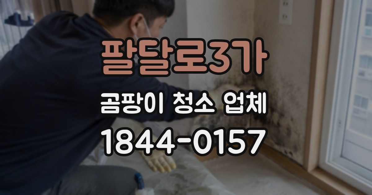 팔달로3가 곰팡이 청소 업체