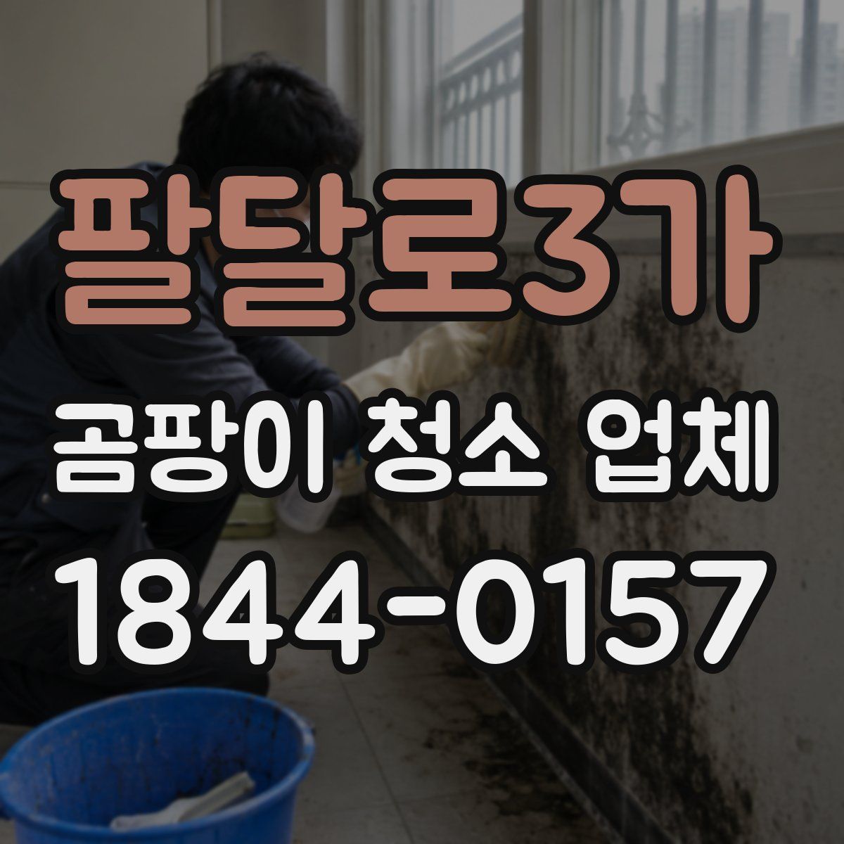 팔달로3가 곰팡이 청소 업체