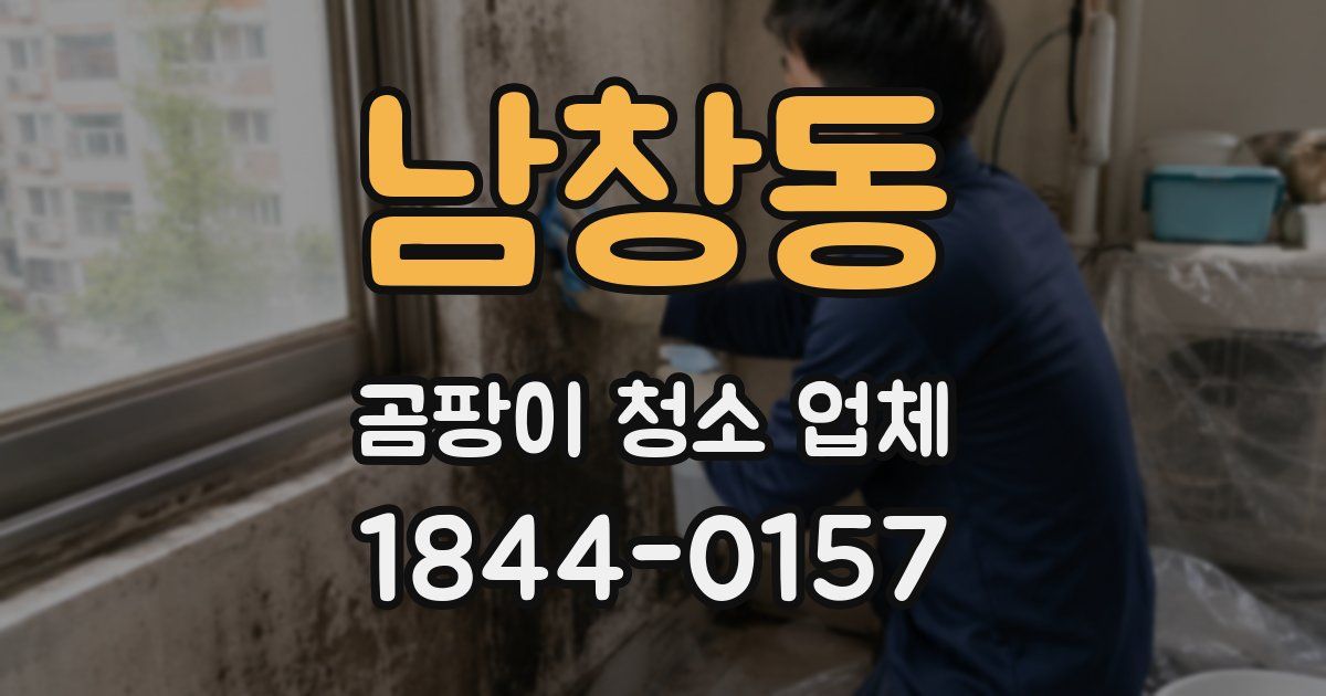남창동 곰팡이 청소 업체
