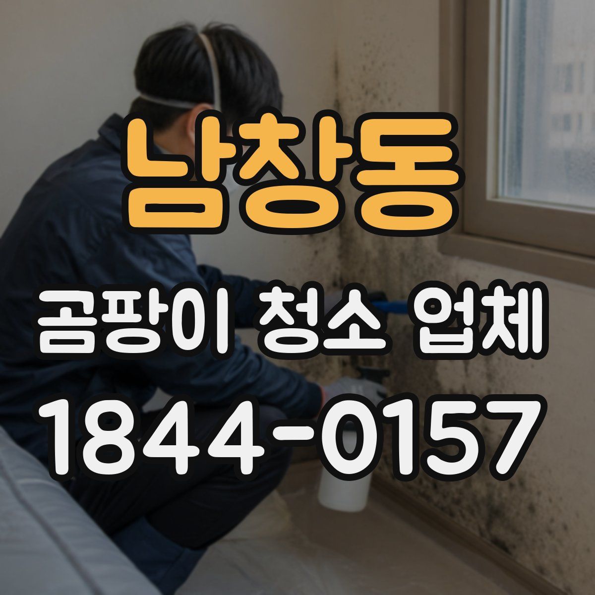 남창동 곰팡이 청소 업체