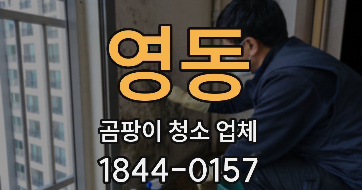 영동 곰팡이 청소 업체