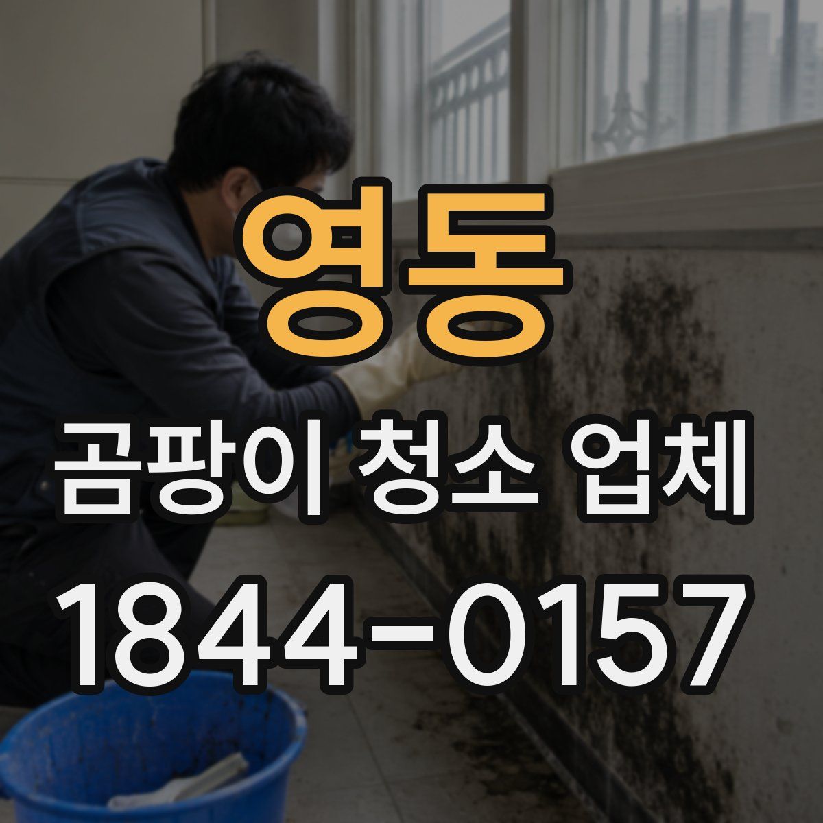 영동 곰팡이 청소 업체