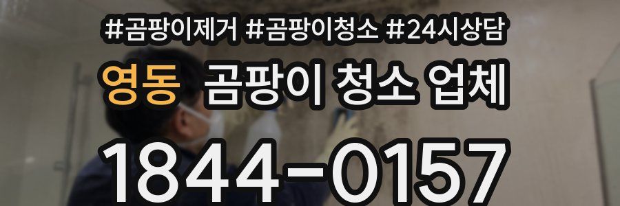 영동 곰팡이 청소 업체