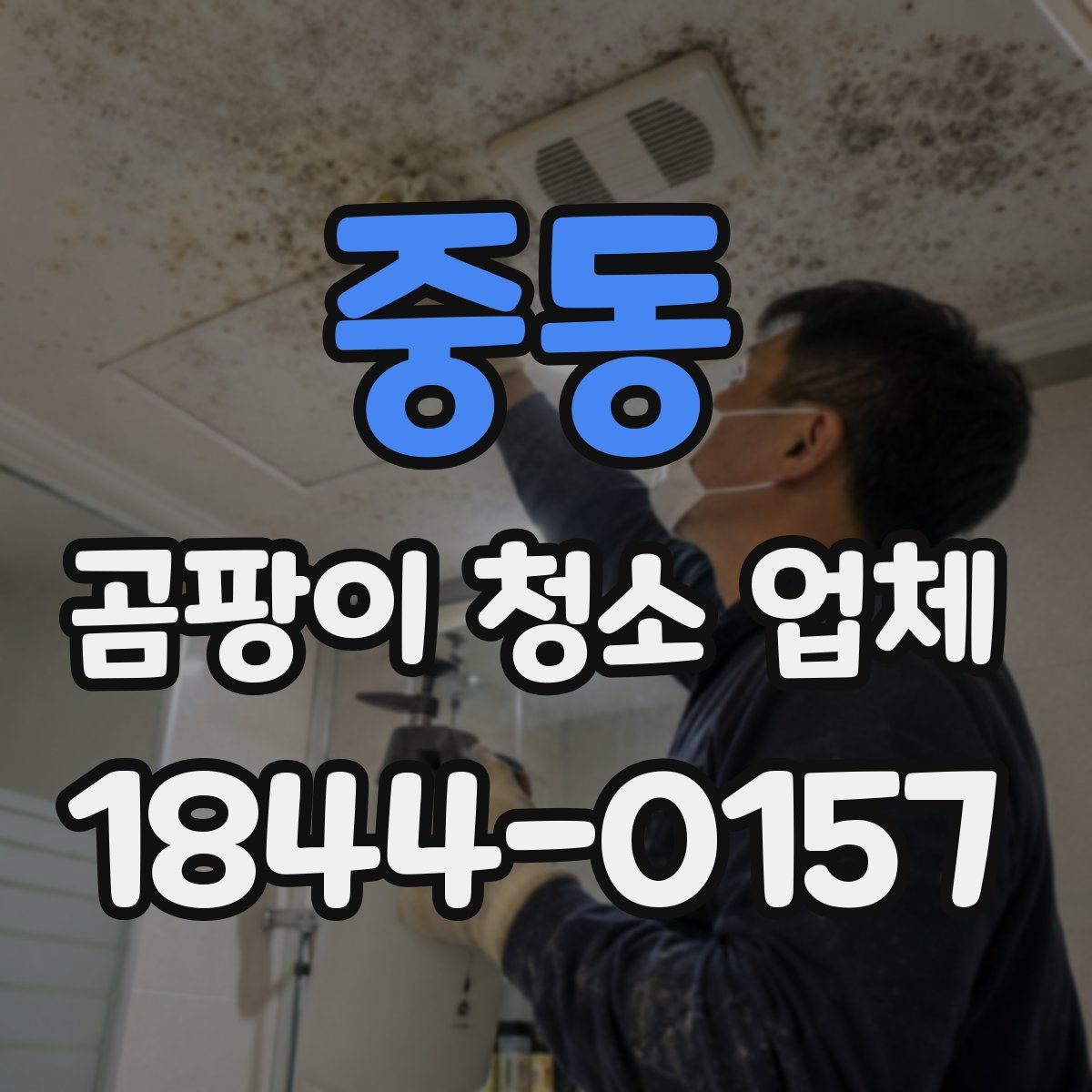 중동 곰팡이 청소 업체