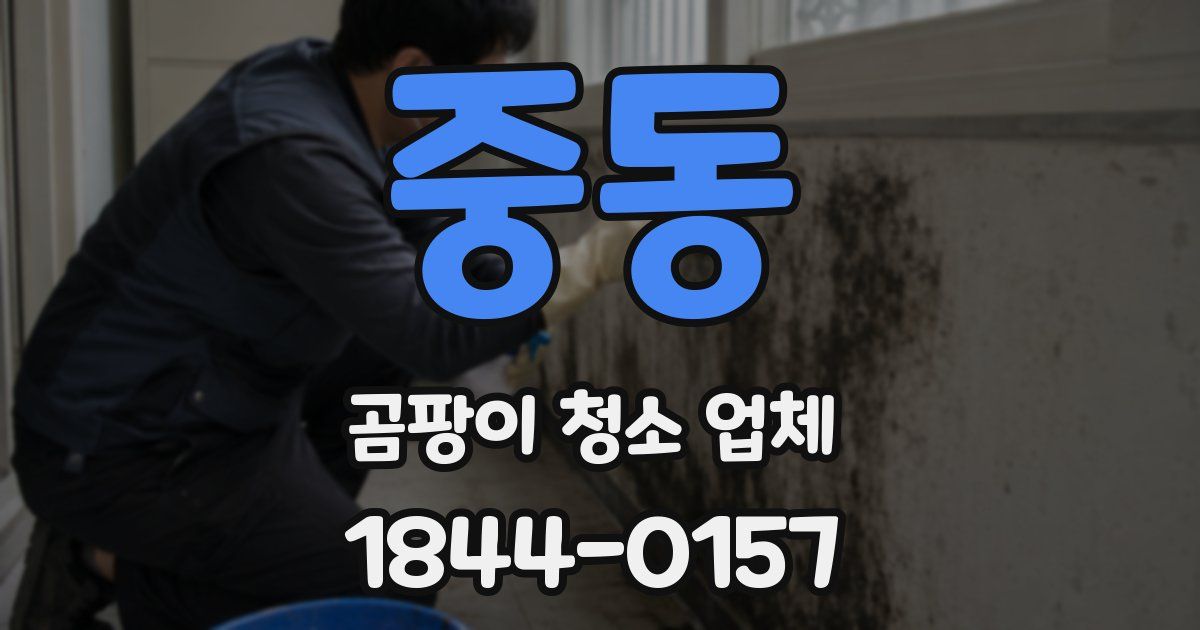중동 곰팡이 청소 업체