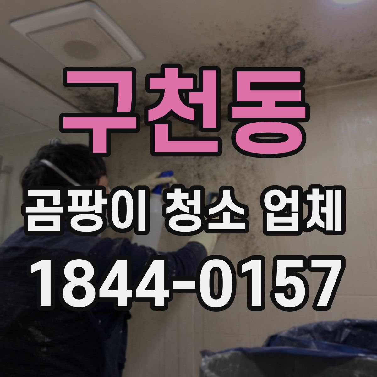 구천동 곰팡이 청소 업체