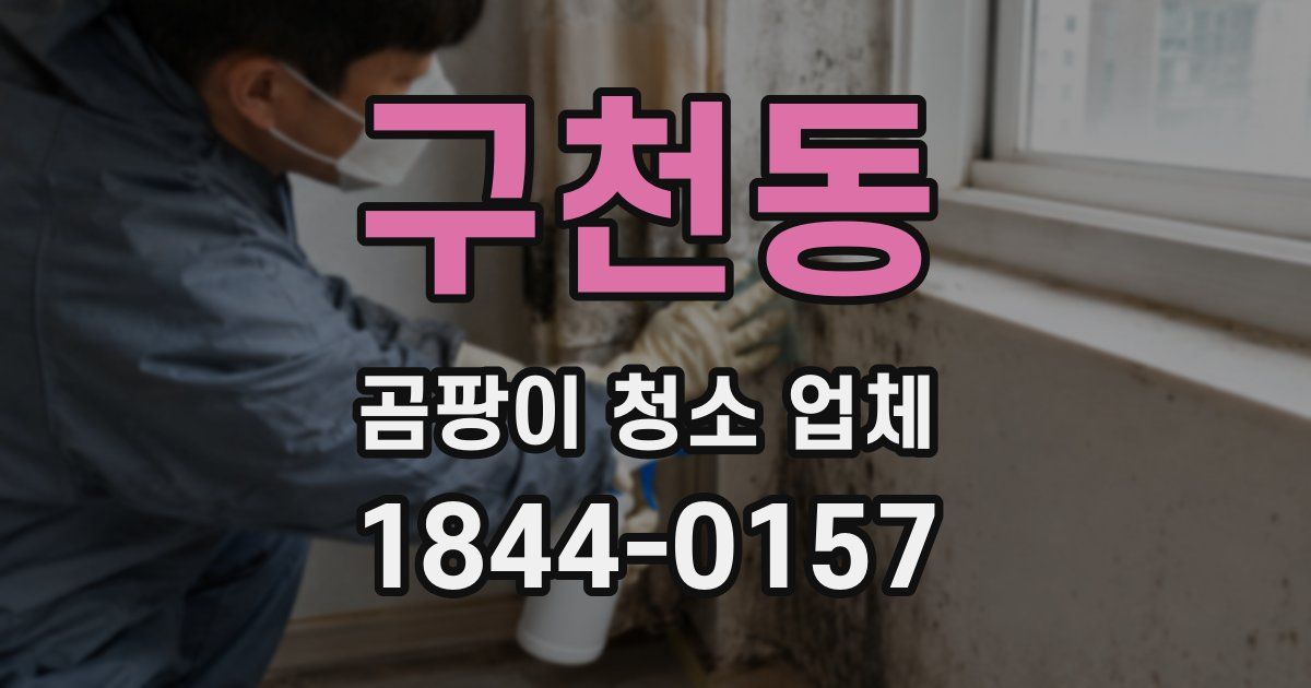 구천동 곰팡이 청소 업체