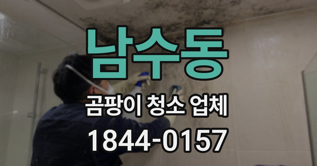 남수동 곰팡이 청소 업체