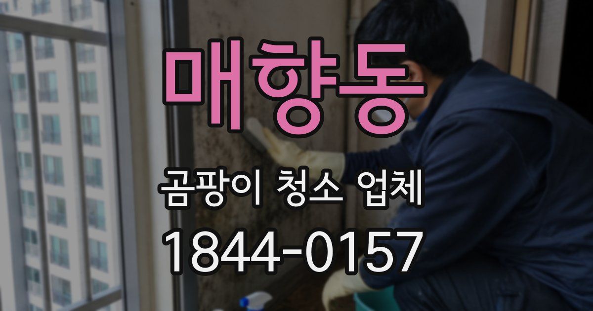 매향동 곰팡이 청소 업체