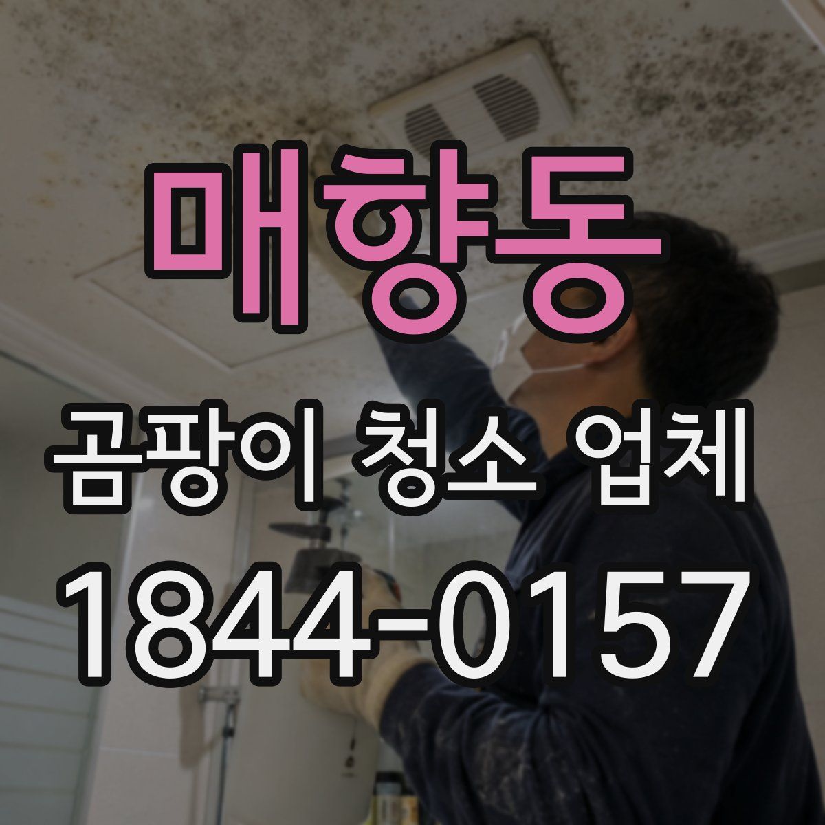 매향동 곰팡이 청소 업체