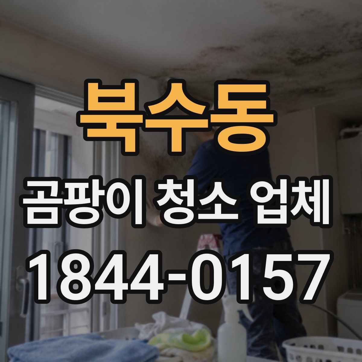 북수동 곰팡이 청소 업체