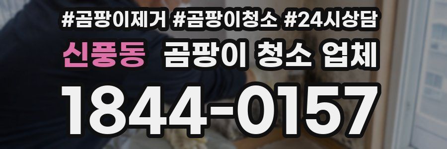 신풍동 곰팡이 청소 업체