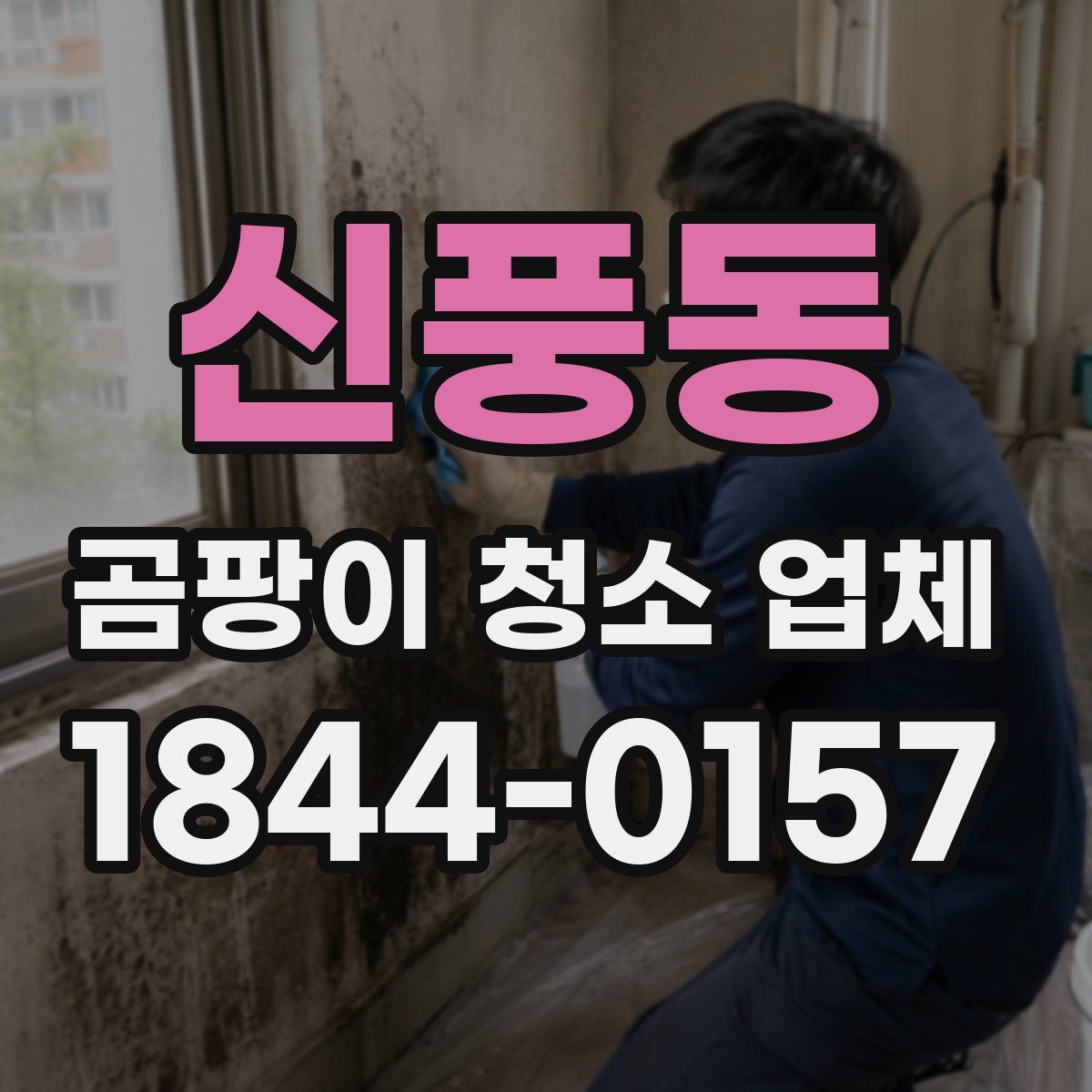 신풍동 곰팡이 청소 업체