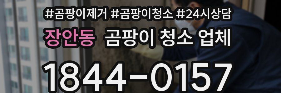 장안동 곰팡이 청소 업체
