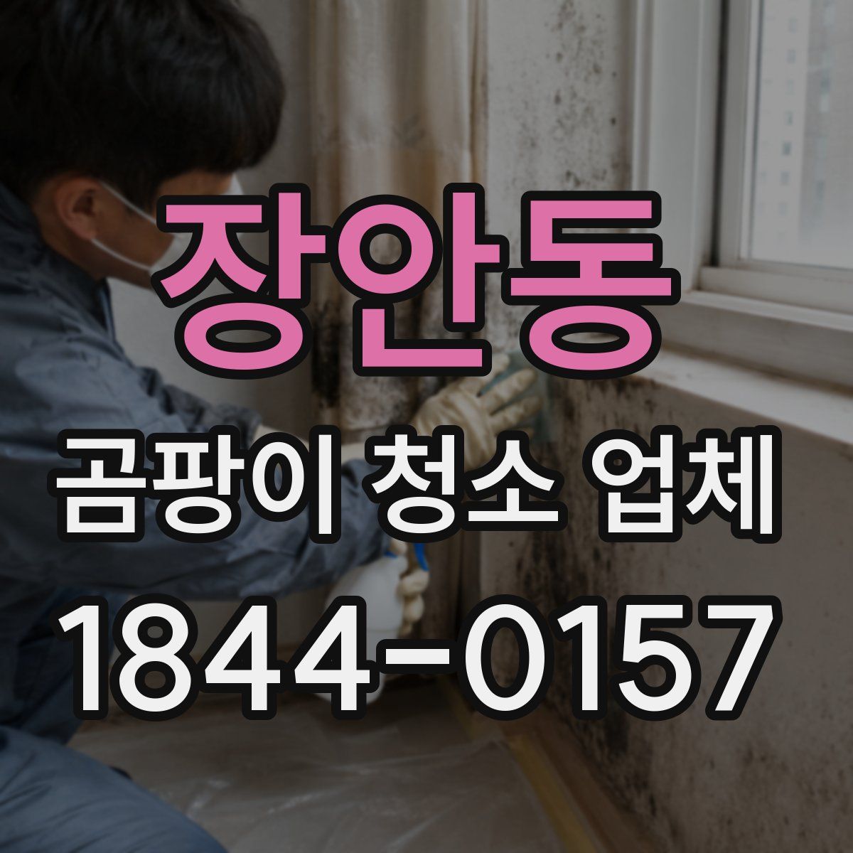장안동 곰팡이 청소 업체