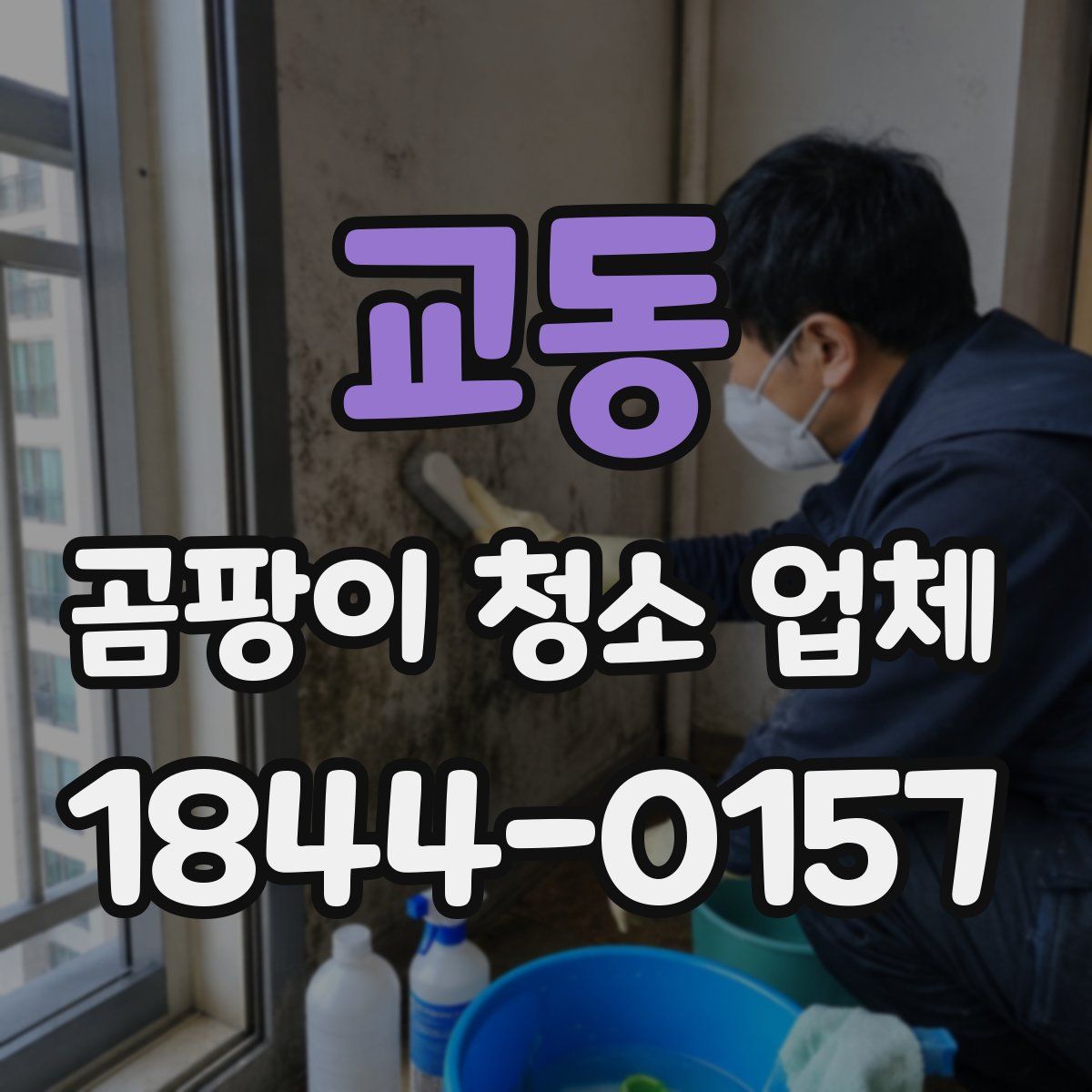 교동 곰팡이 청소 업체