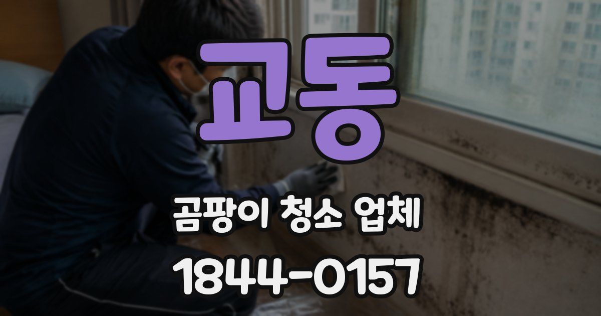 교동 곰팡이 청소 업체