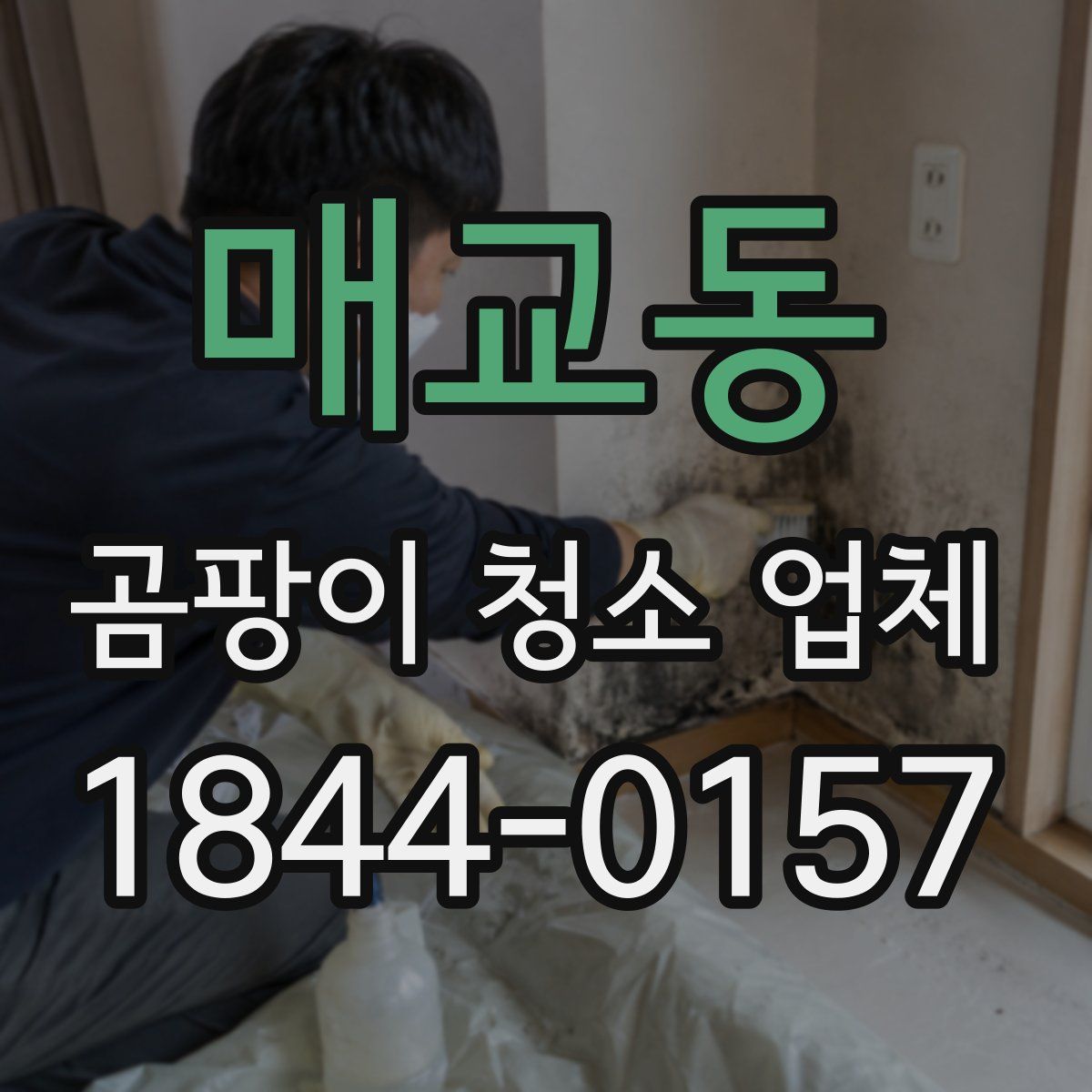 매교동 곰팡이 청소 업체