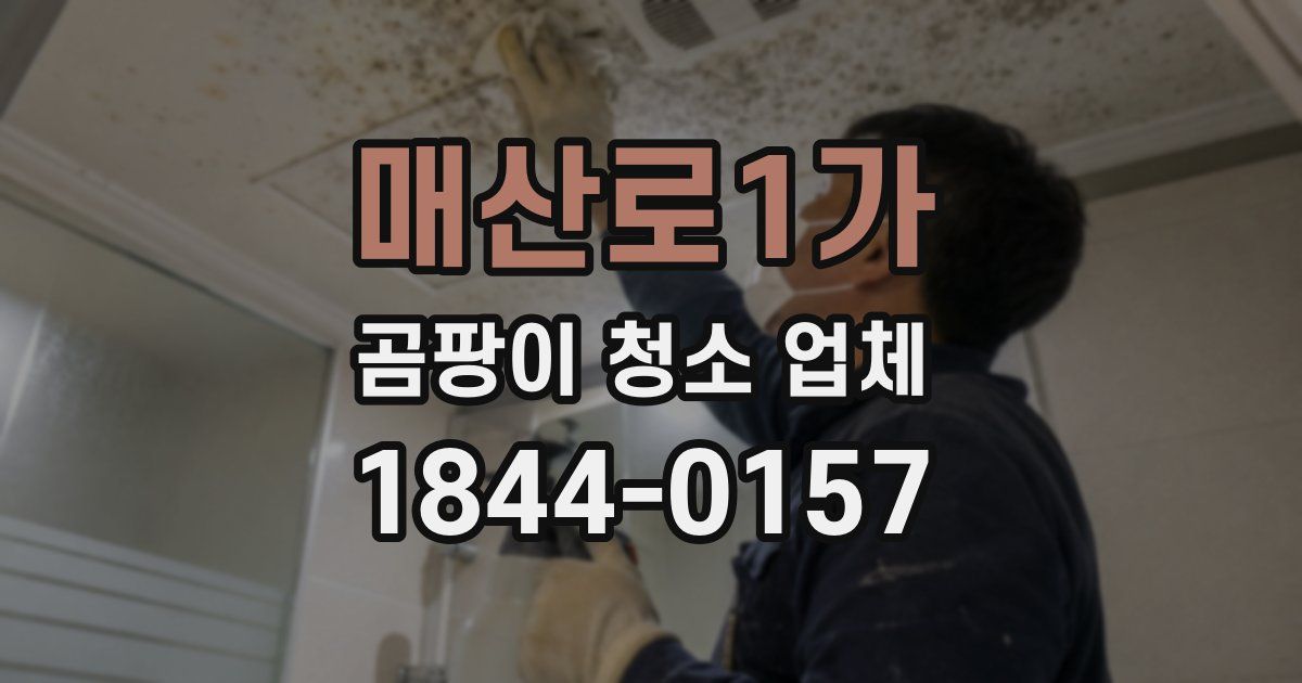 매산로1가 곰팡이 청소 업체