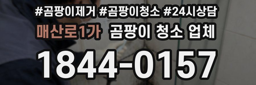 매산로1가 곰팡이 청소 업체