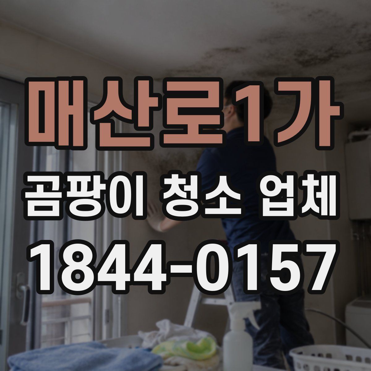 매산로1가 곰팡이 청소 업체