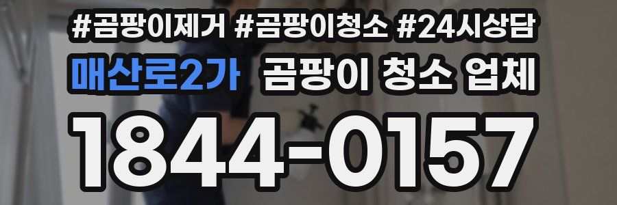 매산로2가 곰팡이 청소 업체