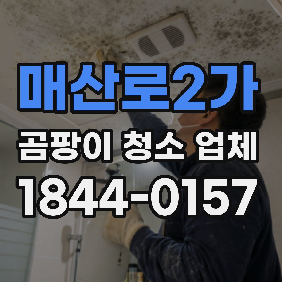 매산로2가 곰팡이 청소 업체